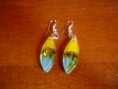 /album/nuevo-accesorios-a-la-venta-/a27941-413195253704-787353704-4304380-1159374-n-jpg1/